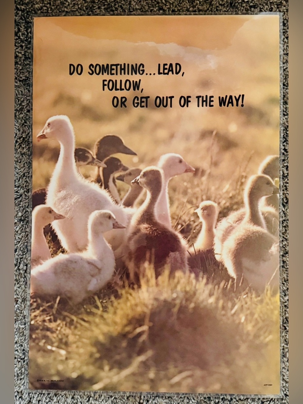 Vtg Do Something... Lead, Follow or Get Out of The Way Poster Laminated 1978